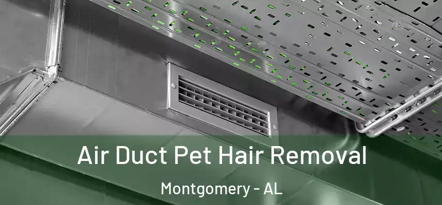 Air Duct Pet Hair Removal Montgomery - AL