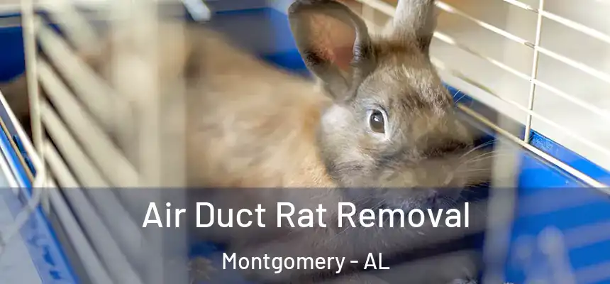 Air Duct Rat Removal Montgomery - AL
