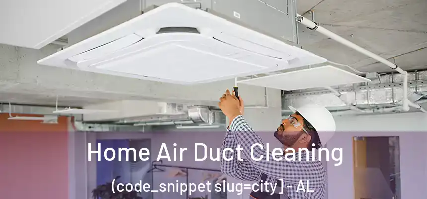  Home Air Duct Cleaning (code_snippet slug=city] - AL