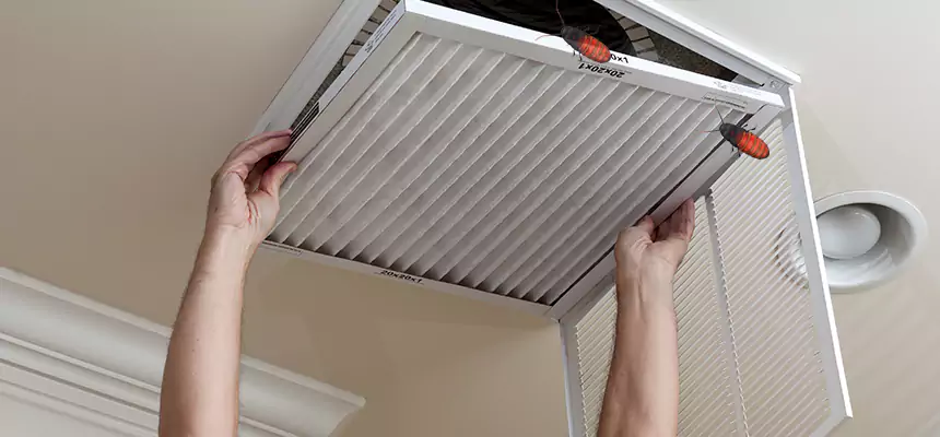 Preventive Cockroach-Proofing for Ducts in Montgomery