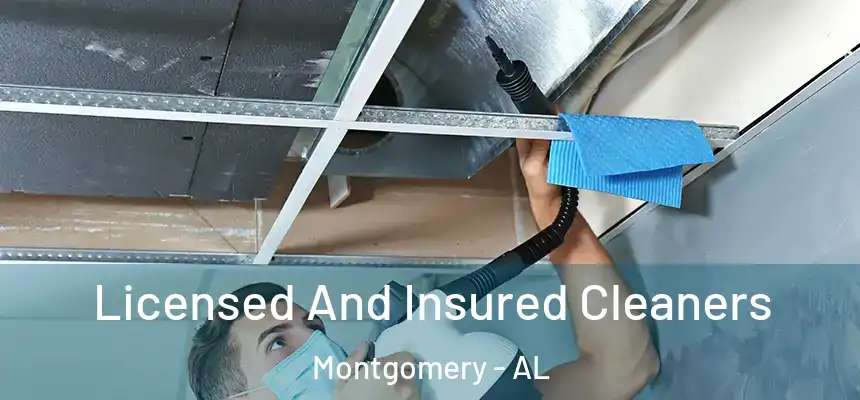 Licensed And Insured Cleaners Montgomery - AL
