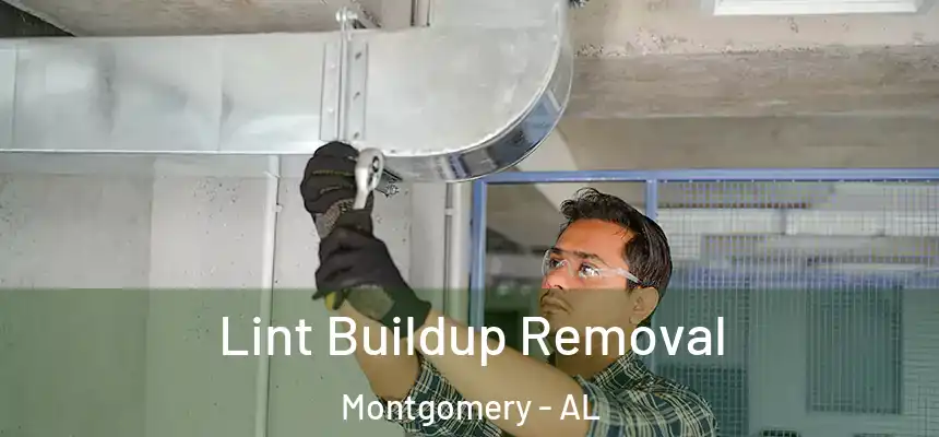  Lint Buildup Removal Montgomery - AL