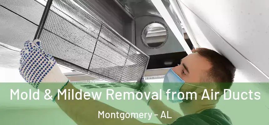  Mold & Mildew Removal from Air Ducts Montgomery - AL