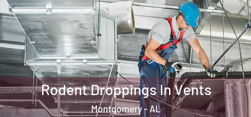 Rodent Droppings In Vents Montgomery - AL