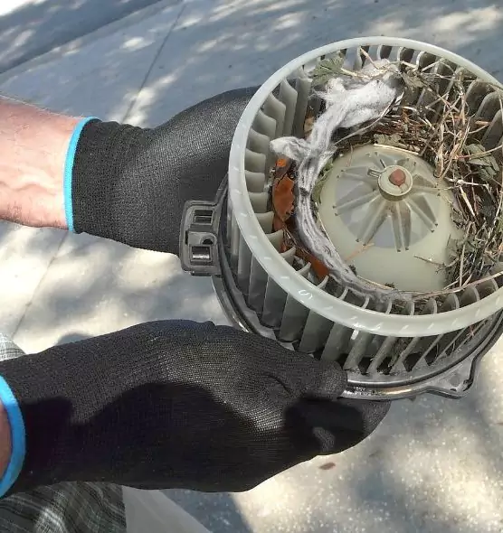 About Air Duct Mice Removal in Montgomery, AL